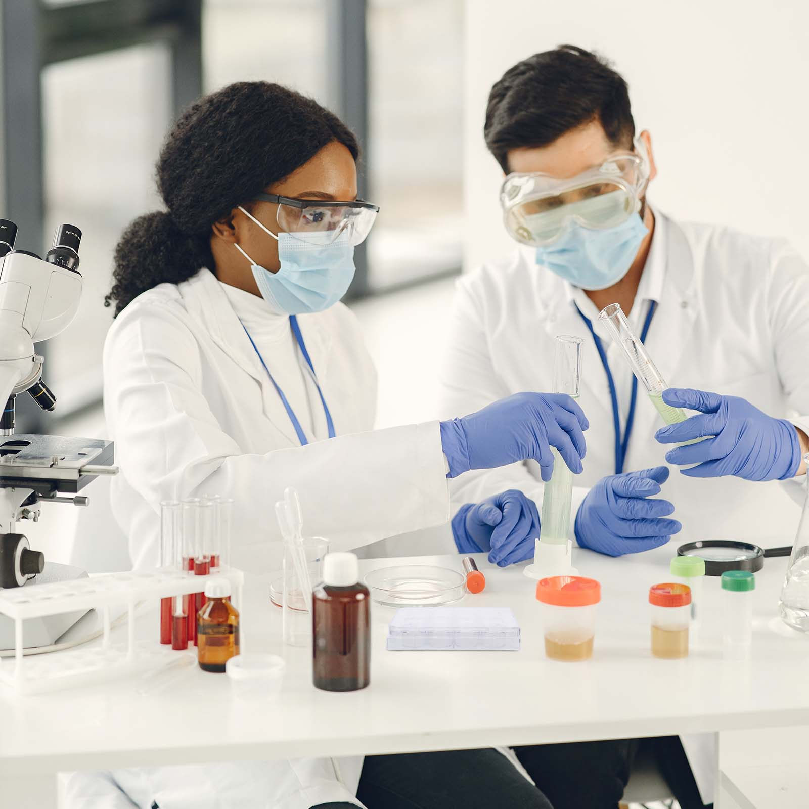 Płytka do hodowli komórek z 12 – Lab Equipment recenzja i cena
